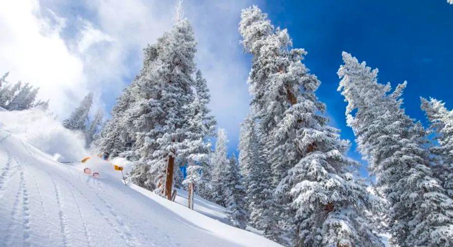 Cover Image for Aspen: The Ultimate Skiers' Haven