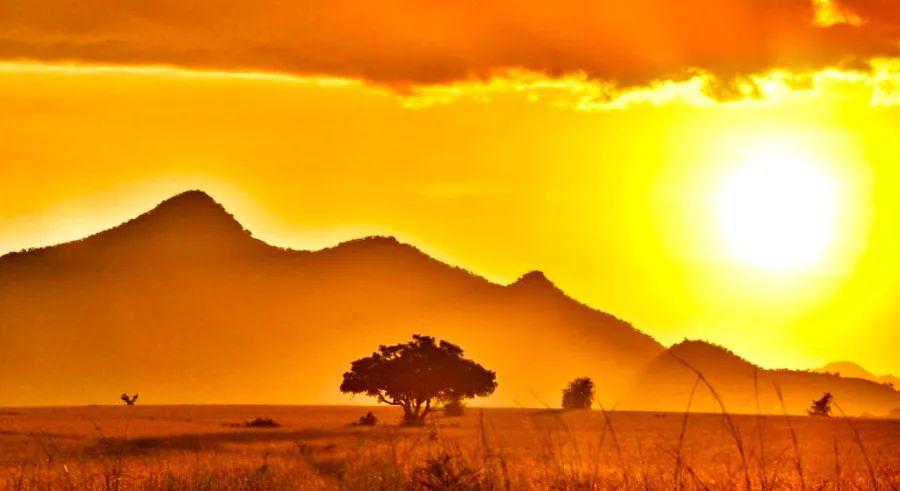 Cover Image for 8 top safari destinations in Africa