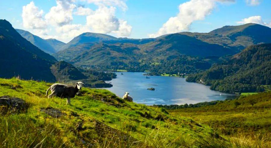 Cover Image for Visiting the UK during Covid-19: Essential information for travelers