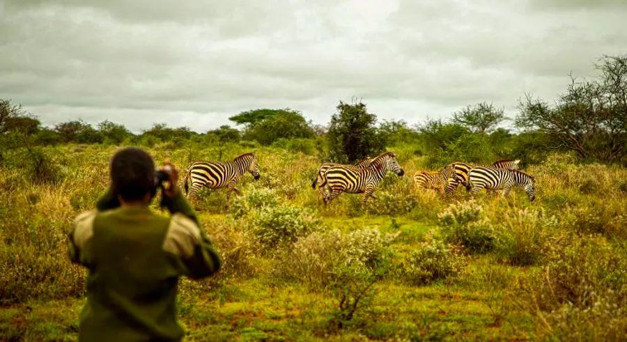 Cover Image for Meet eight Maasai rangers – the trailblazing women in their families who are now leading the fight against poaching in Kenya's Amboseli National Park