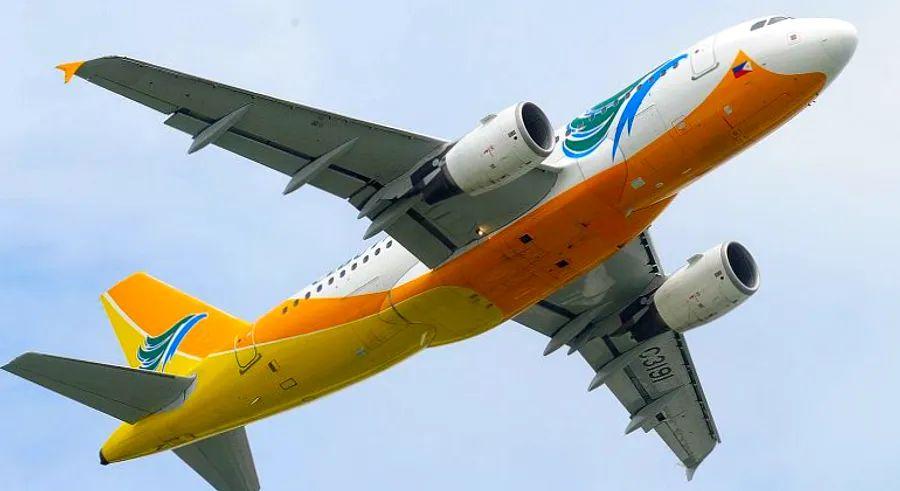 Cover Image for A baby born on a Cebu Pacific flight is awarded 1 million air miles