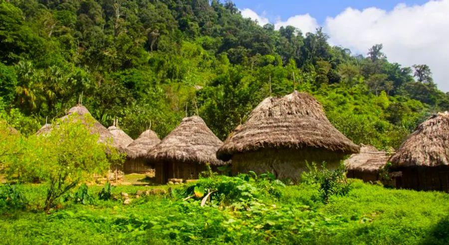 Cover Image for Colombia's Ciudad Perdida, an ancient marvel predating Machu Picchu, remains a hidden gem that few have the chance to visit.
