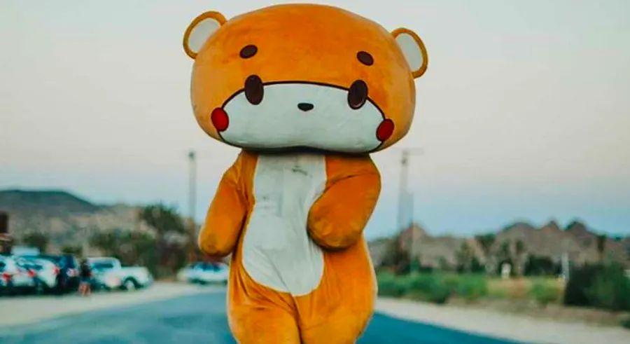 Cover Image for Meet Bearsun, the real-life teddy bear on an epic trek from Los Angeles to San Francisco