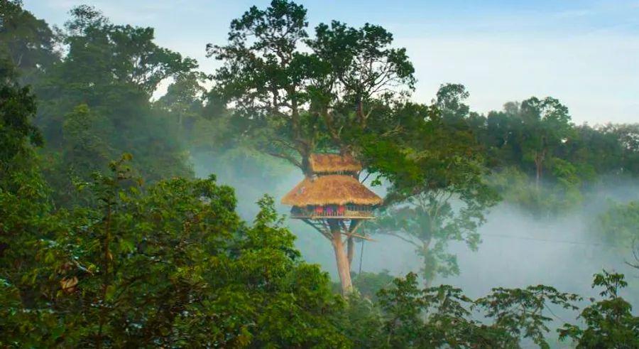 Cover Image for Spend the night in the world’s tallest treehouses in Laos