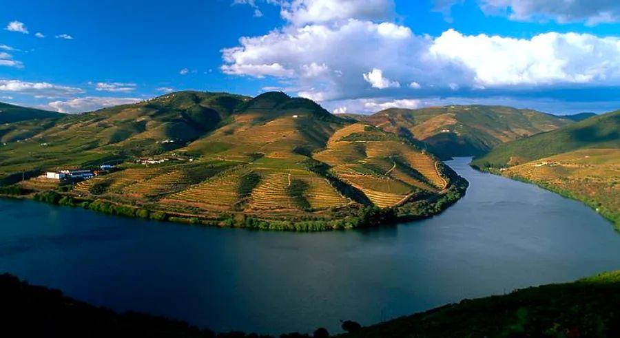 Cover Image for 11 Lesser-Known Wine Regions You Need to Discover