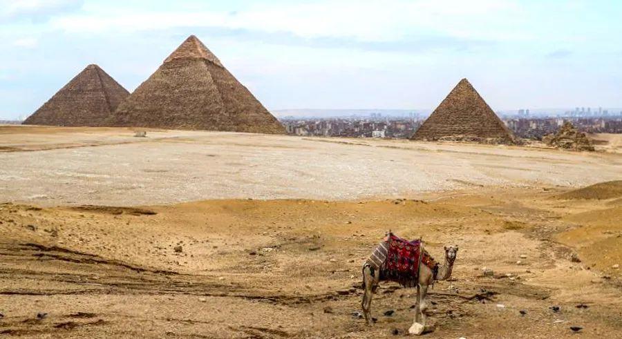 Cover Image for Essential Information for Traveling to Egypt During Covid-19: Key Details You Need to Know