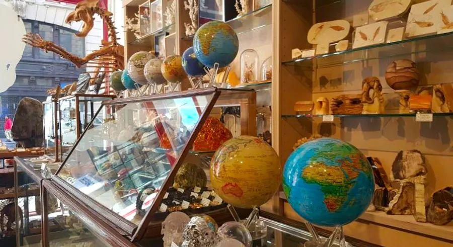Cover Image for In New York, the Evolution Store blends retail and museum experiences, offering a space where you can shop among fascinating exhibits.