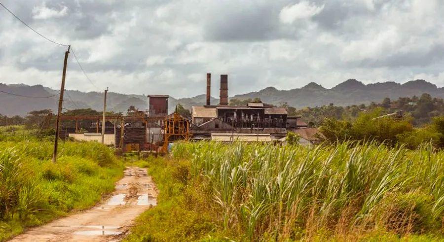 Cover Image for The distinctive character of true Jamaican rum is best experienced untouched