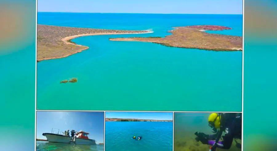 Cover Image for Underwater archaeologists uncover ancient Aboriginal sites off Australia's coast