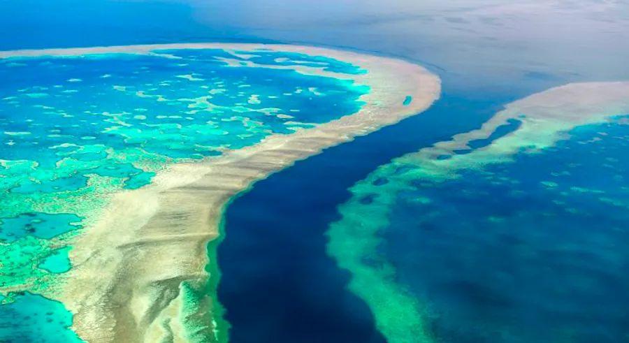 Cover Image for UN declares the Great Barrier Reef ‘in danger,’ but Australia disagrees