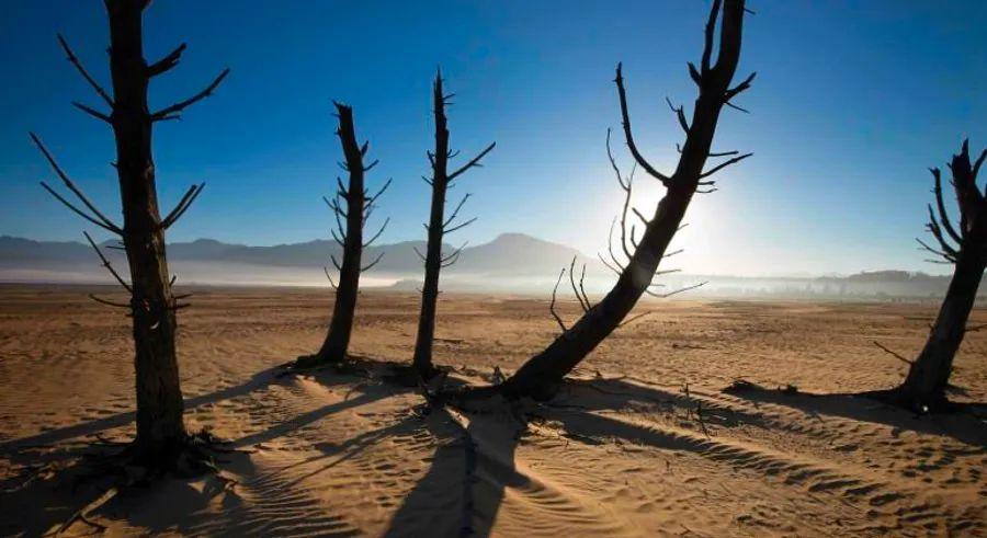 Cover Image for Cape Town’s Drought: Is It Still Worth Visiting?