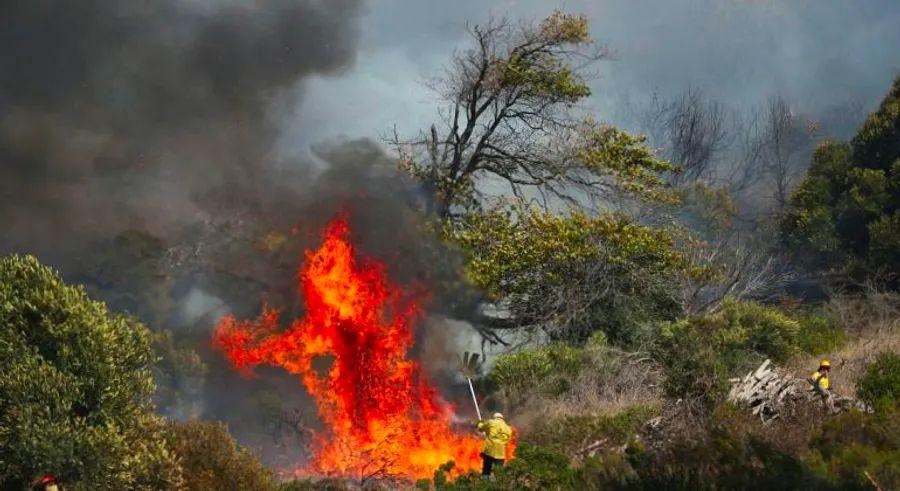 Cover Image for A massive wildfire has erupted in Table Mountain National Park in Cape Town, South Africa, burning uncontrollably.