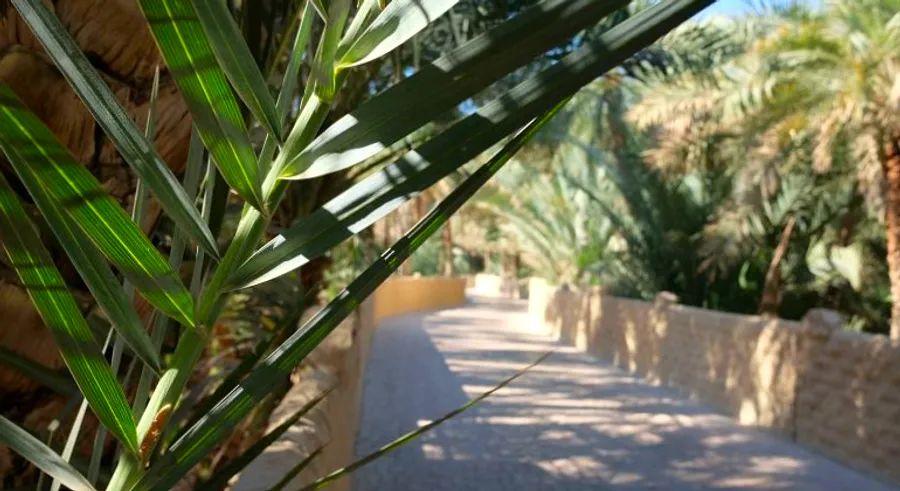 Cover Image for Explore the tranquil oasis of Al Ain on a day trip from Abu Dhabi, where you can experience a peaceful escape from the city hustle.