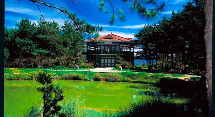 Cover Image for Why Taichung is the top choice for many locals in Taiwan