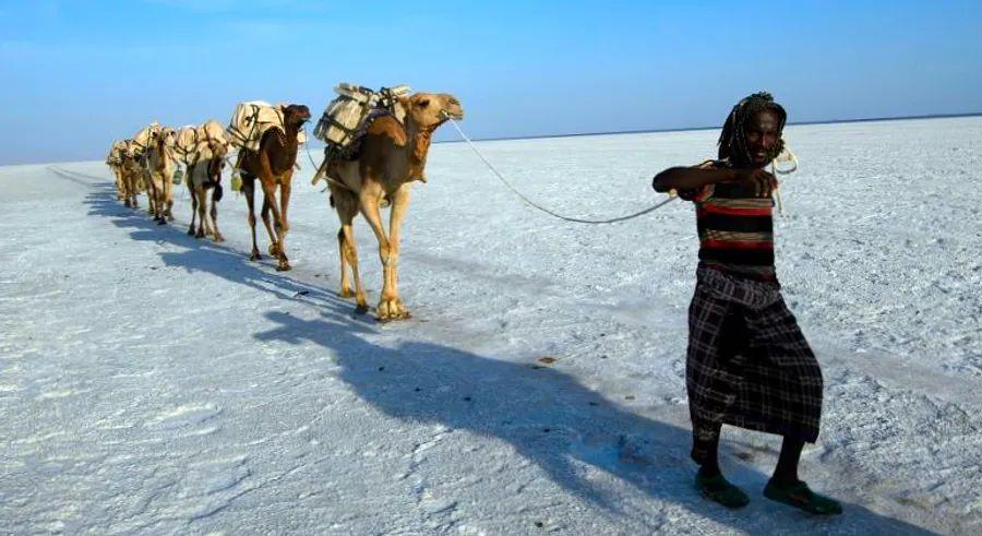 Cover Image for 10 reasons Ethiopia stands out from the crowd