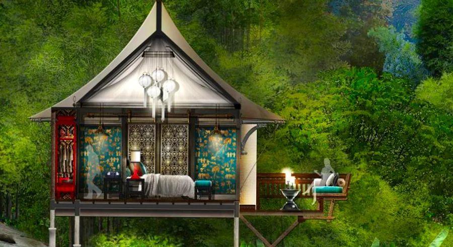 Cover Image for Awaken to the wonders of wildlife: Discover Asia’s top luxury tented escapes