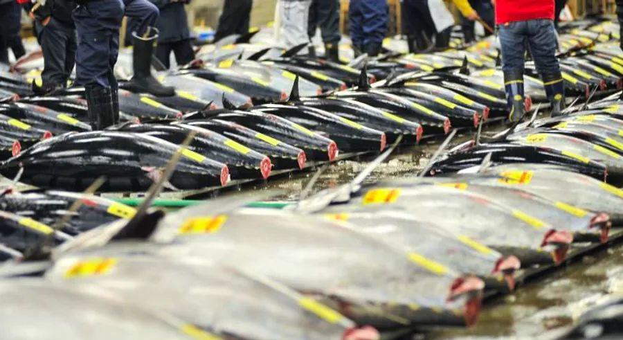 Cover Image for The end of an era as Tokyo’s Tsukiji fish market closes its doors