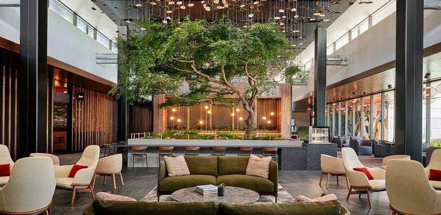 Cover Image for The Complete Guide to American Express Centurion Lounges Across the U.S.