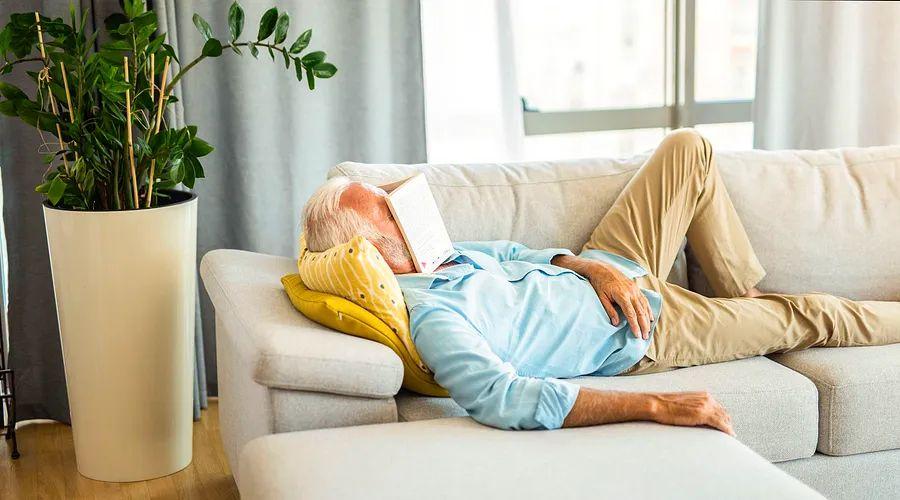 Cover Image for New study sheds light on the connection between sleep disturbances and dementia risk