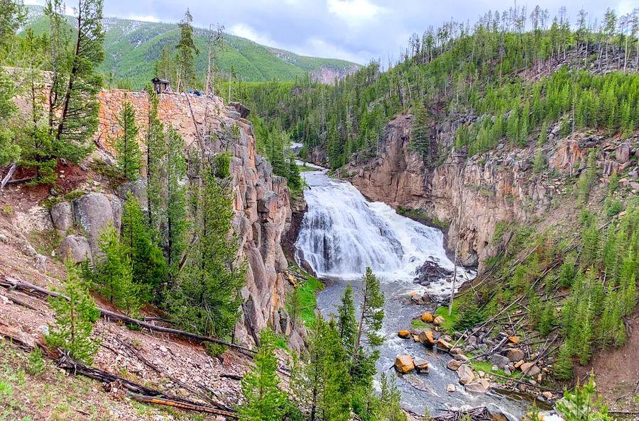 Cover Image for A complete guide for first-timers visiting Yellowstone National Park: Key sights and activities to enjoy