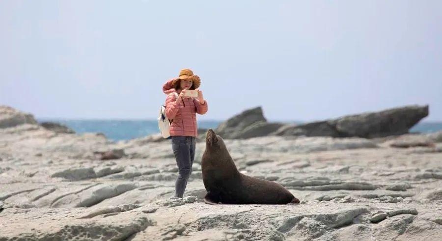 Cover Image for Are you committed to becoming a more responsible traveler? These destinations want your pledge in writing