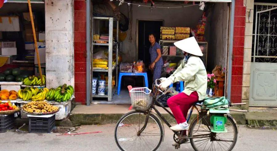 Cover Image for Dong Ngac: Hanoi’s Scholar Haven