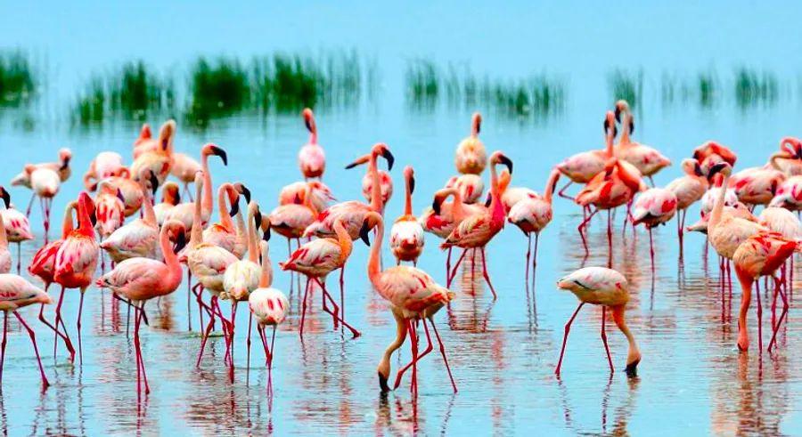 Cover Image for Top 20 unforgettable experiences in Kenya