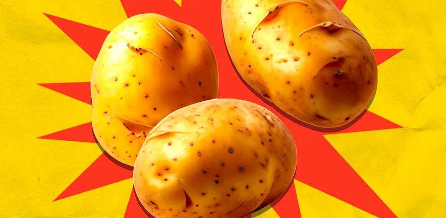 Cover Image for A New Potato That’s So Creamy, No Butter Needed