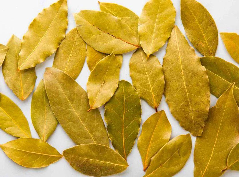 Cover Image for What Are Bay Leaves — And Do They Actually Serve a Purpose?