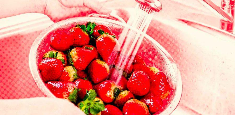 Cover Image for Yes, Strawberries Can Have Bugs—Here’s How to Get Rid of Them