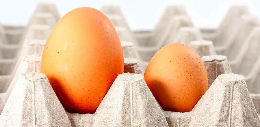 Cover Image for Does Egg Size Really Affect Cooking Outcomes?