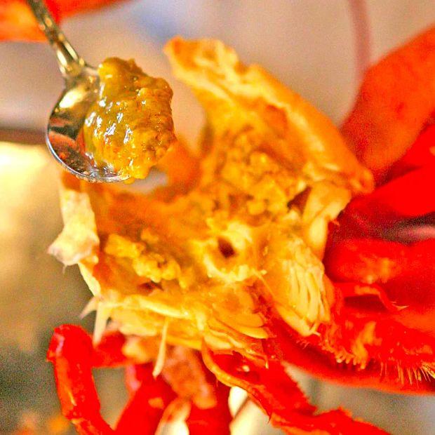 Cover Image for What’s That Green Goo in Lobster and Should You Eat It?