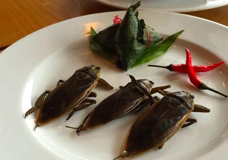 Cover Image for 2016 is the year of bugs, more vegetables, and a healthy return of fats