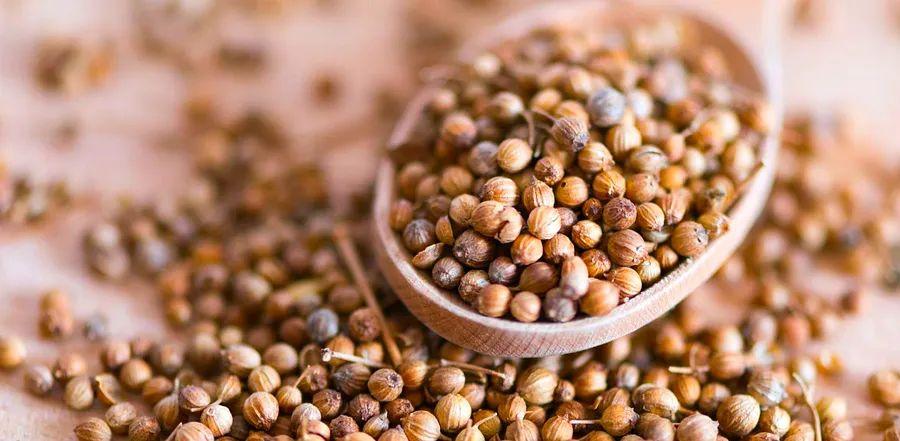 Cover Image for Top 3 Coriander Substitutes You Need to Know