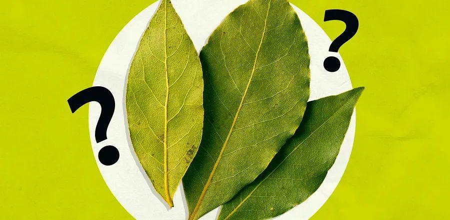 Cover Image for A Chef’s Verdict: Do Bay Leaves Actually Make a Difference?