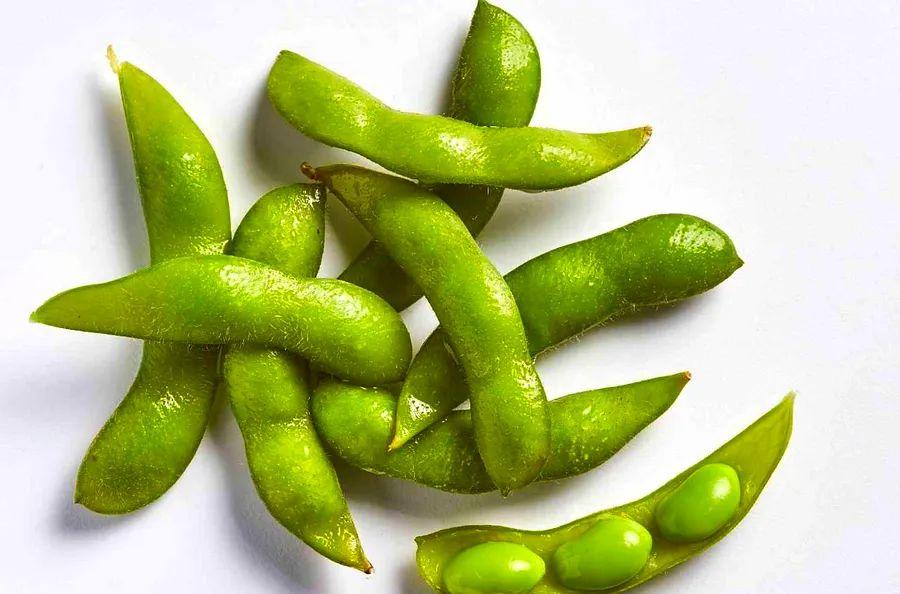 Cover Image for The Fascinating World of Fava Beans