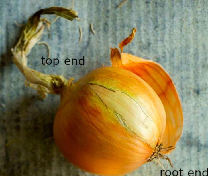 Cover Image for How to Slice an Onion Like a Pro