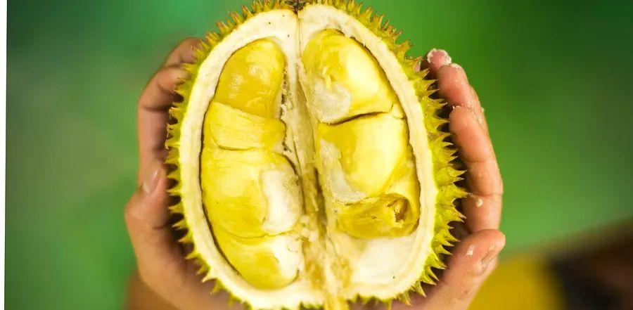 Cover Image for What Is Durian Fruit?