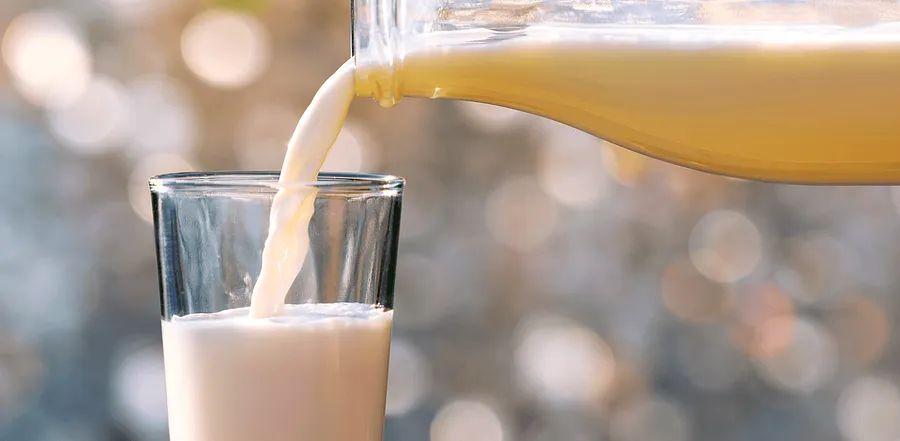 Cover Image for What Happens When You Drink Expired Milk?