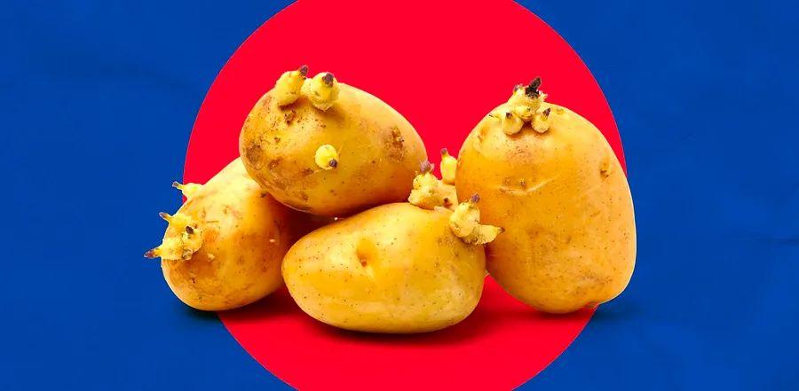 Cover Image for A Potato Expert Explains: The Ultimate Method to Keep Your Potatoes From Sprouting