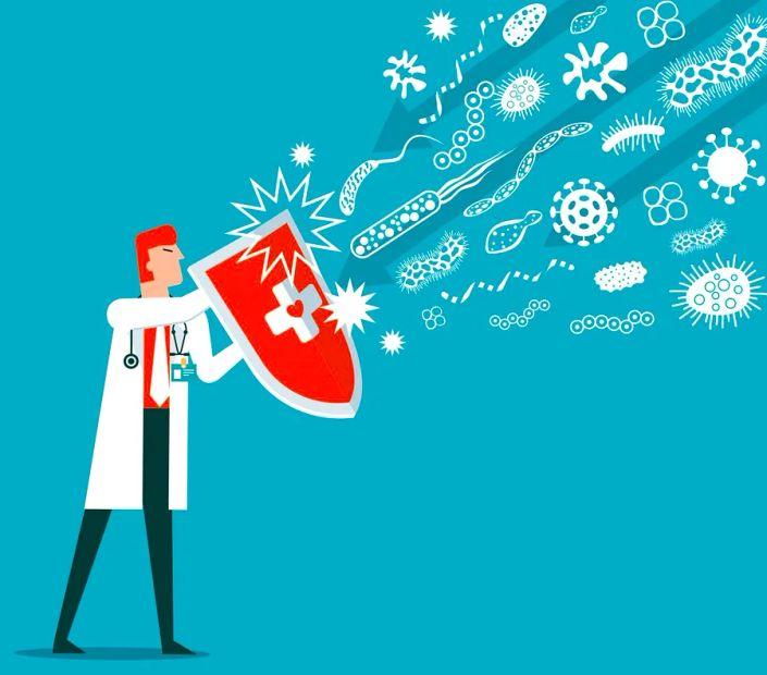 Cover Image for 9 Foods That Strengthen Immunity — And 3 That Can Weaken It