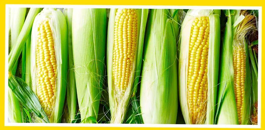 Cover Image for The Simplest Way to Make Corn Taste Even Better
