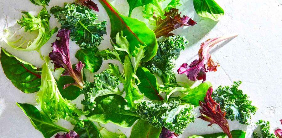 Cover Image for Is It Safe to Eat Slimy Salad Greens?