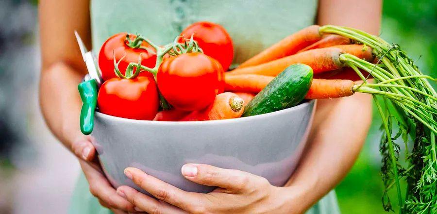 Cover Image for Simple Ways to Keep Your Summer Produce Fresh Longer