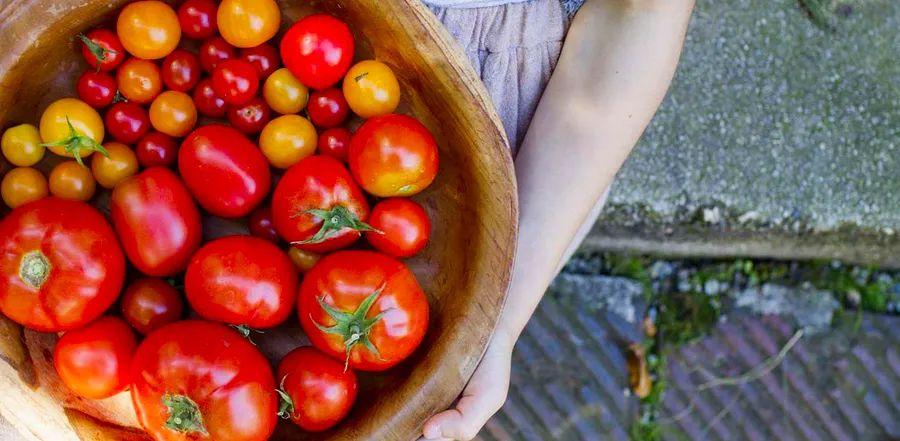 Cover Image for You Might Be Overlooking the Best Way to Use Tomatoes