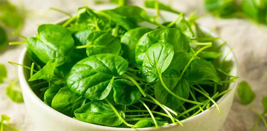 Cover Image for 5 Top Watercress Substitutes and How to Use Them