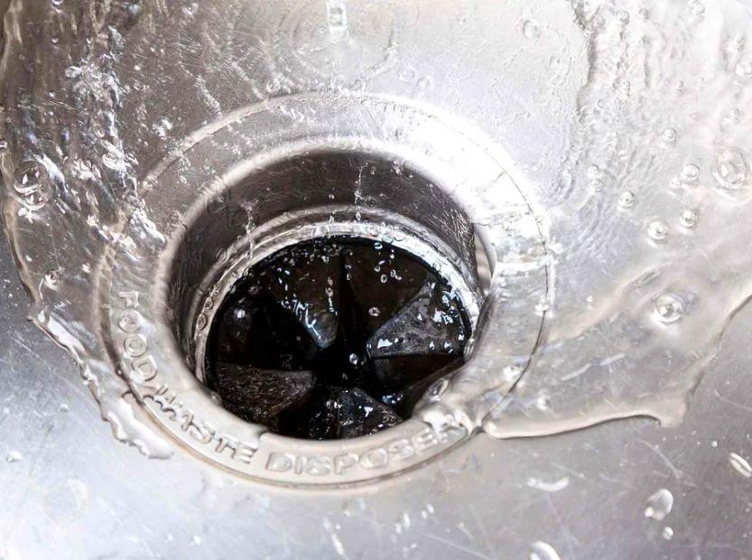 Cover Image for 11 Items You Should Never Put in Your Garbage Disposal