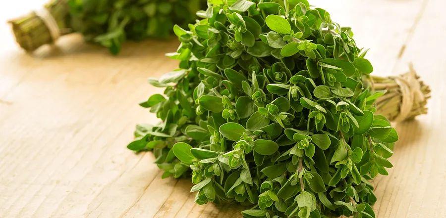Cover Image for What is Marjoram and What Are Its Best Substitutes?