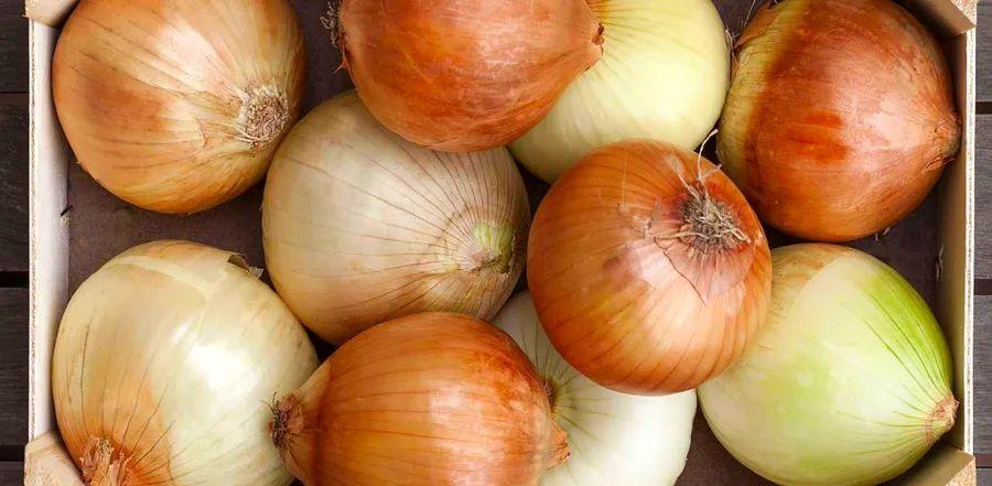 Cover Image for 8 Ultimate Onion Replacements for Any Occasion