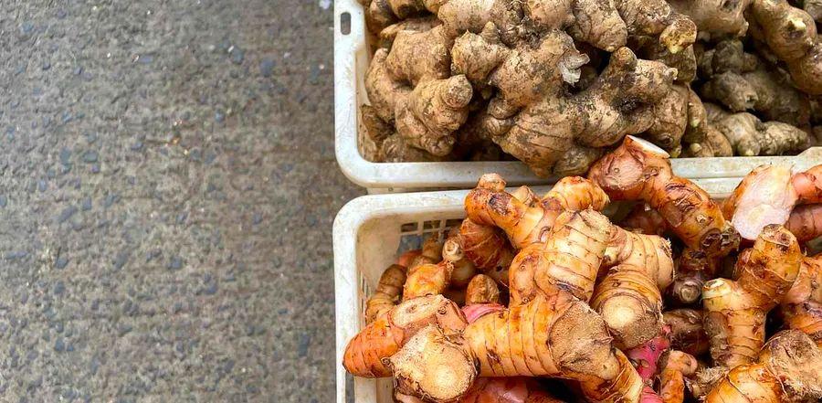 Cover Image for Galangal vs. Ginger: How Do They Differ?